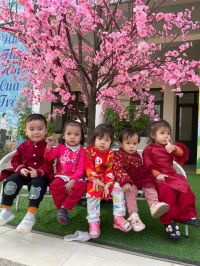 Ảnh tết 2025