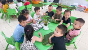 HOẠT ĐỘNG TRẢI NGHIỆM LÀM BÁNH TRÔI NƯỚC