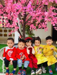 Ảnh tết 2025