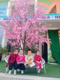 Ảnh tết 2025