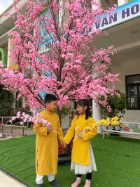 Ảnh tết 2025