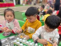 Tết 2025
